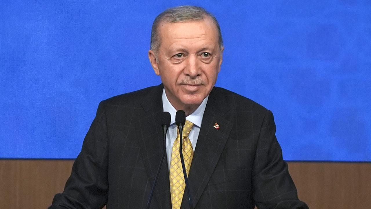 erdogan-2312919.jpg