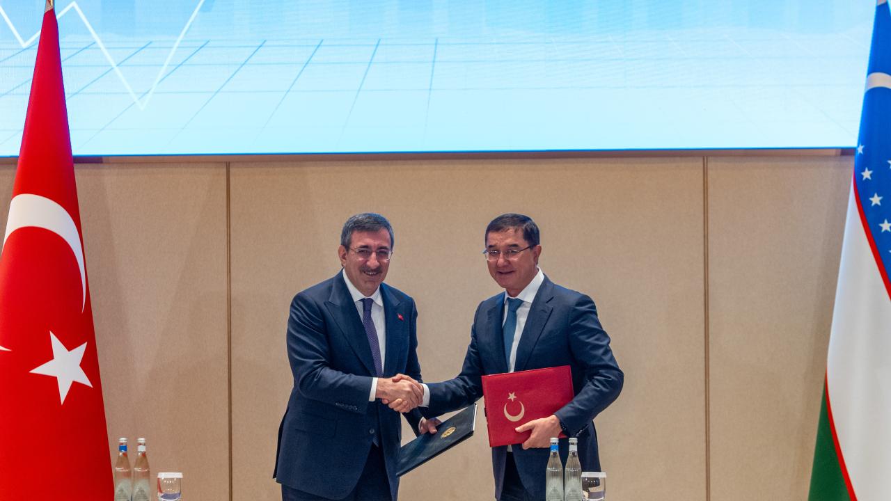 yilmaz-2360761.jpg